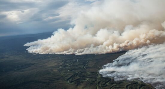 Incendios forestales: ¿Cuánto puede afectar el humo a la salud?